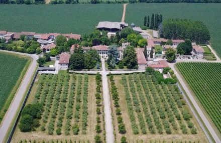 Area98 pensa in ecofriendly