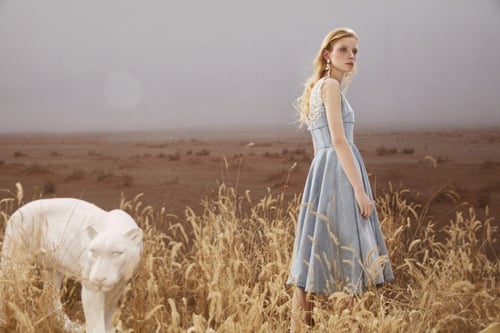 Miss Sixty’s Summer of Love