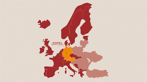 Morel opens its 15th subsidiary: Morel Germany- Austria.