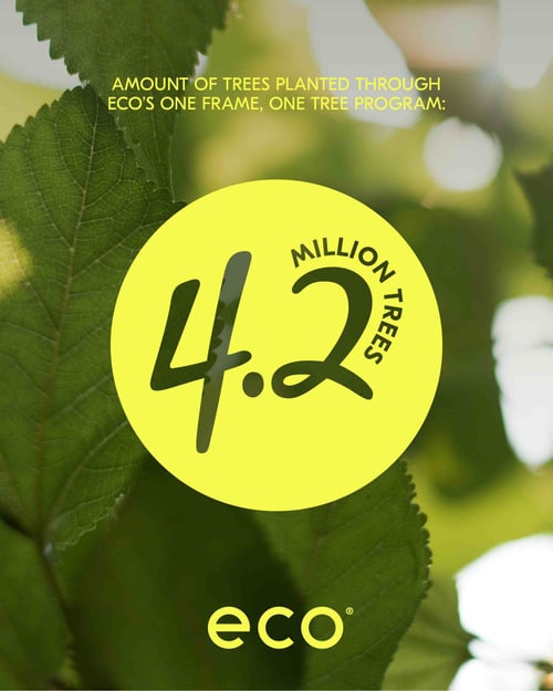 Eco Eyewear supera i 4,2 milioni di alberi piantati con il programma One Frame, One Tree