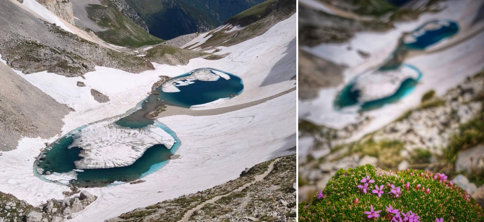 Quando la natura indossa gli occhiali