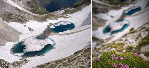 Quando la natura indossa gli occhiali