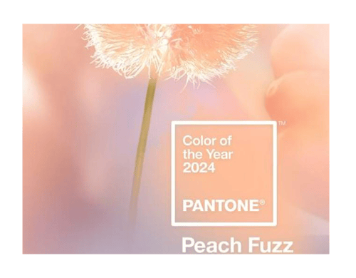 Il colore Pantone del 2024 è il Peach Fuzz